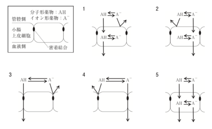 解説画像